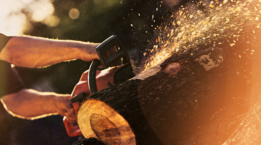 stihl láncfűrész akciósan, stihl kertápoló eszközök akciója