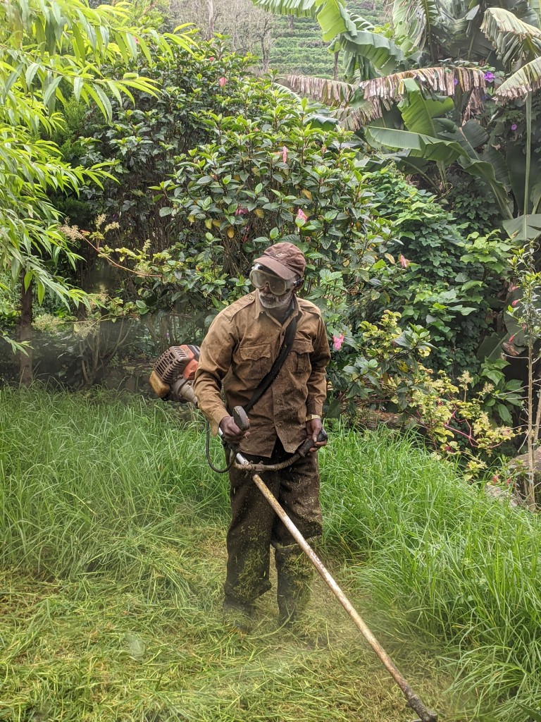 Kertészkedés Stihl gép Gyál eszközökkel Kertészkedés Stihl gép Gyál eszközökkel