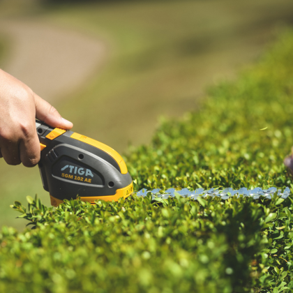 GGP00571_galeria_65638e04cff0e