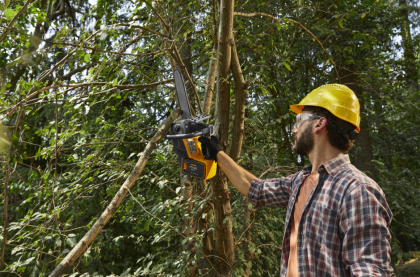 GGP00657_galeria_602aabb744e68